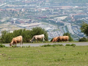 caminoargalariopeque