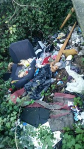 basura castaños retuerto 1