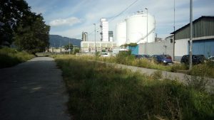 Foto maleza Lutxana
